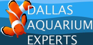 Aquarium Service, Aquarium Maintenance, Fish Tank Cleaning Service, Fish Tank Service, Saltwater Aquarium Service, Saltwater Aquarium Maintenance Service, Saltwater Fish Tank Maintenance, Saltwater Aquarium Maintenance