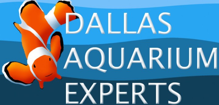 aquarium technician, aquarium service technician, aquarist job openings, aquarium technician jobs, aquarium maintenance technician, dallas aquarium experts, north texas aquarium, aquarium service