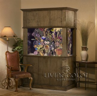 Aquarium Service, Aquarium Maintenance, Fish Tank Cleaning Service, Fish Tank Service, Saltwater Aquarium Service, Saltwater Aquarium Maintenance Service, Saltwater Fish Tank Maintenance, Saltwater Aquarium Maintenance