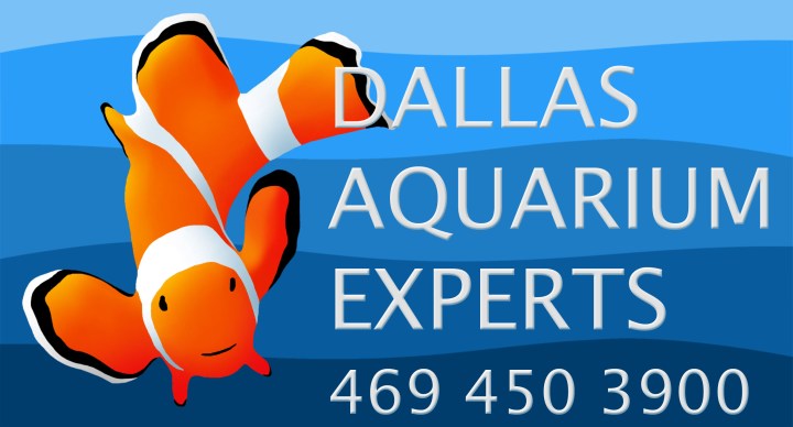 final-logo-11-04-05-phone-number-format