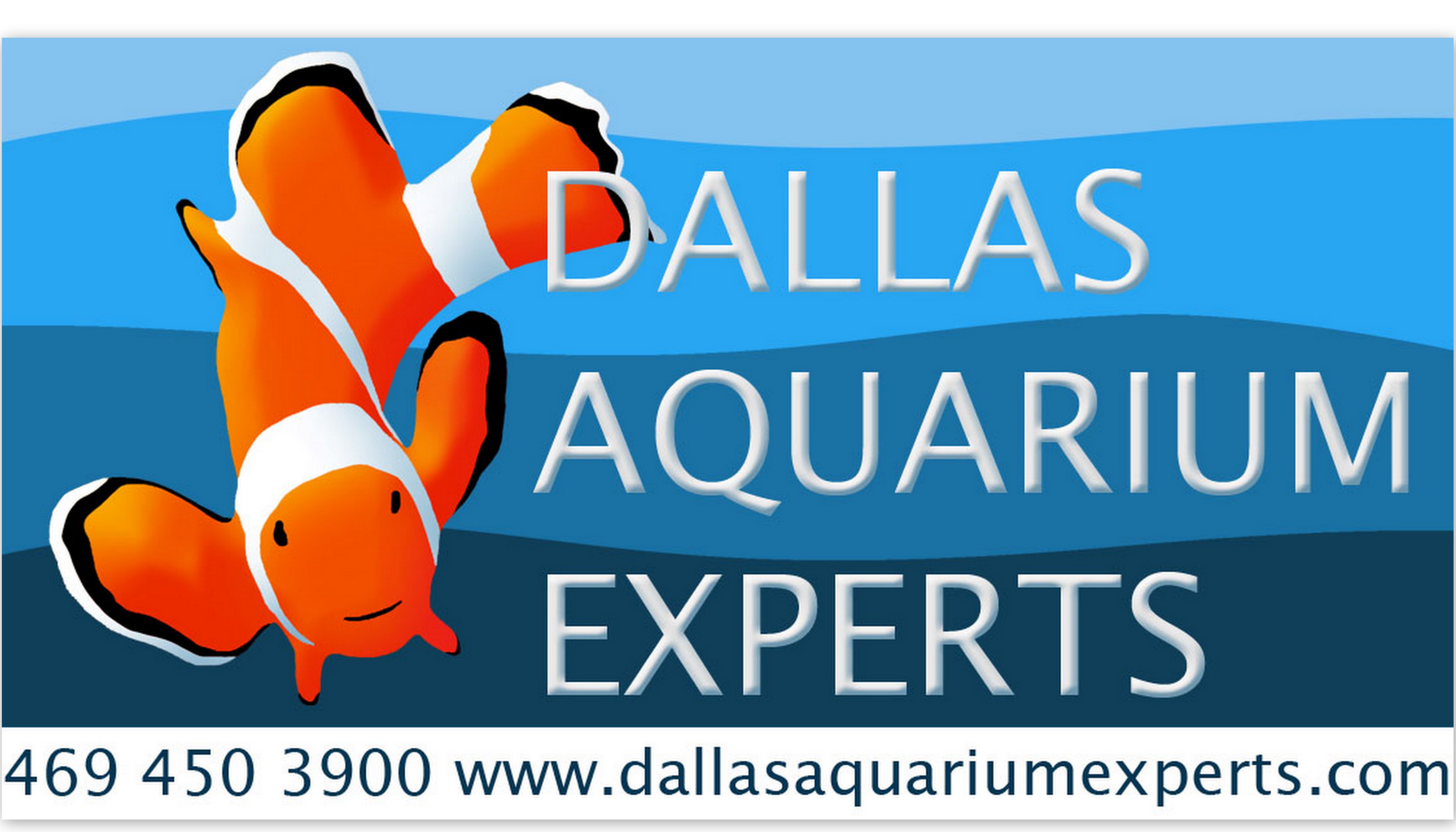 Aquarium Service, Aquarium Maintenance, Fish Tank Cleaning Service, Fish Tank Service, Saltwater Aquarium Service, Saltwater Aquarium Maintenance Service, Saltwater Fish Tank Maintenance, Saltwater Aquarium Maintenance