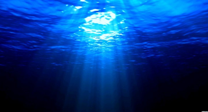 Saltwater Aquarium Maintenance Service Company, Saltwater Delivery, Saltwater Tank Maintenance, Reef Tank Maintenance