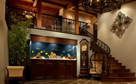 Aquarium Service, Aquarium Maintenance, Fish Tank Cleaning Service, Fish Tank Service, Saltwater Aquarium Service, Saltwater Aquarium Maintenance Service, Saltwater Fish Tank Maintenance, Saltwater Aquarium Maintenance