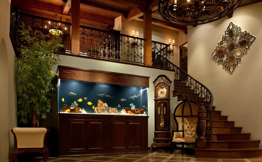 Fish Tank Maintenance Service