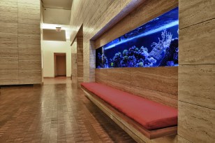Aquarium Service, Aquarium Maintenance, Aquarium Leasing