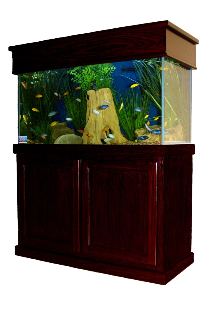 Aquarium Service Company, Dallas Aquarium Experts,Fish Tank Lease, Aquarium Leasing, Aquarium Service, Aquarium Maintenance, Aquarium Rental, Dallas Aquarium Experts