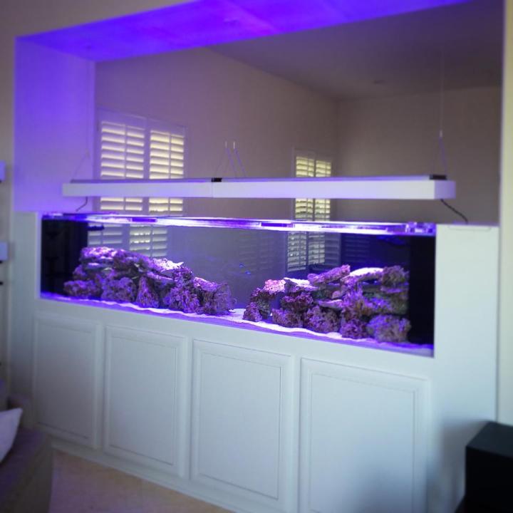 wall divider aquarium