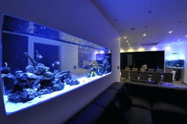 Aquarium Service, Aquarium Maintenance, Fish Tank Cleaning Service, Fish Tank Service, Saltwater Aquarium Service, Saltwater Aquarium Maintenance Service, Saltwater Fish Tank Maintenance, Saltwater Aquarium Maintenance