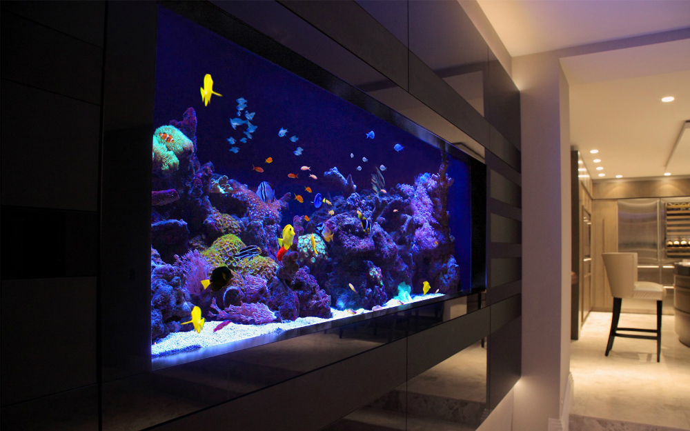 A saltwater aquarium full of healthy fish that is a saltwater maintenance service client of Dallas Aquarium Experts