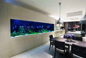 Aquarium Service, Aquarium Maintenance, Fish Tank Cleaning Service, Fish Tank Service, Saltwater Aquarium Service, Saltwater Aquarium Maintenance Service, Saltwater Fish Tank Maintenance, Saltwater Aquarium Maintenance