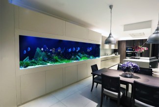 Aquarium Service, Aquarium Maintenance, Fish Tank Cleaning Service, Fish Tank Service, Saltwater Aquarium Service, Saltwater Aquarium Maintenance Service, Saltwater Fish Tank Maintenance, Saltwater Aquarium Maintenance, Aquarium Maintenance Service
