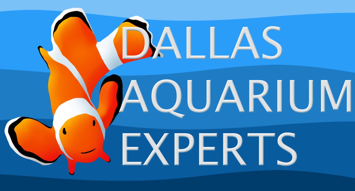 Saltwater Aquarium Service – DALLAS AQUARIUM EXPERTS