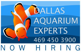 aquarium technician, aquarium service technician, aquarist job openings, aquarium technician jobs, aquarium maintenance technician, dallas aquarium experts, north texas aquarium, aquarium specialist