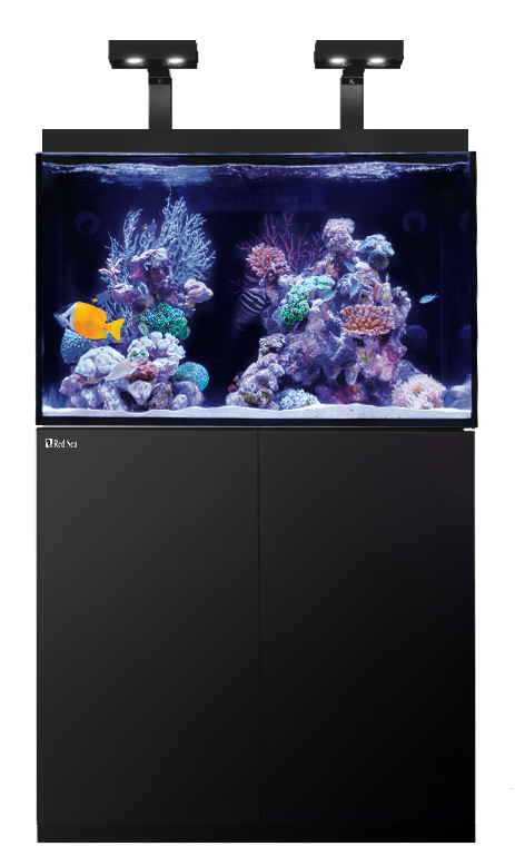 Aquarium Design and Aquarium Installation by Dallas Aquarium Experts