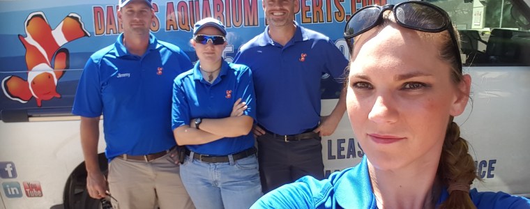 The Dallas Aquarium Experts Aquarium Service Staff