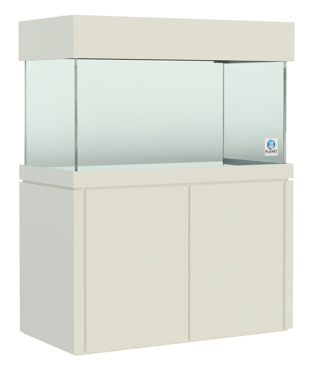 Elegance Stand and Canopy