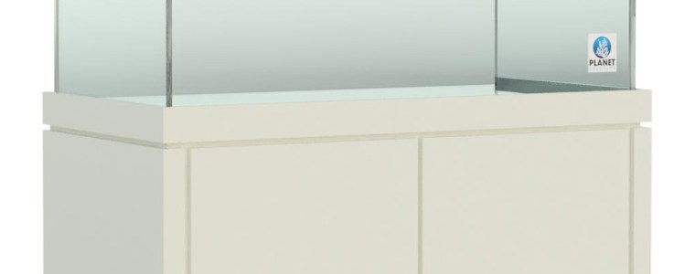 Elegance Stand and Canopy