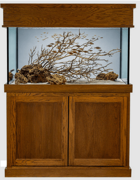 90 Gallon Aquarium with Classic Stand and Canopy stain selection Medium Oak
